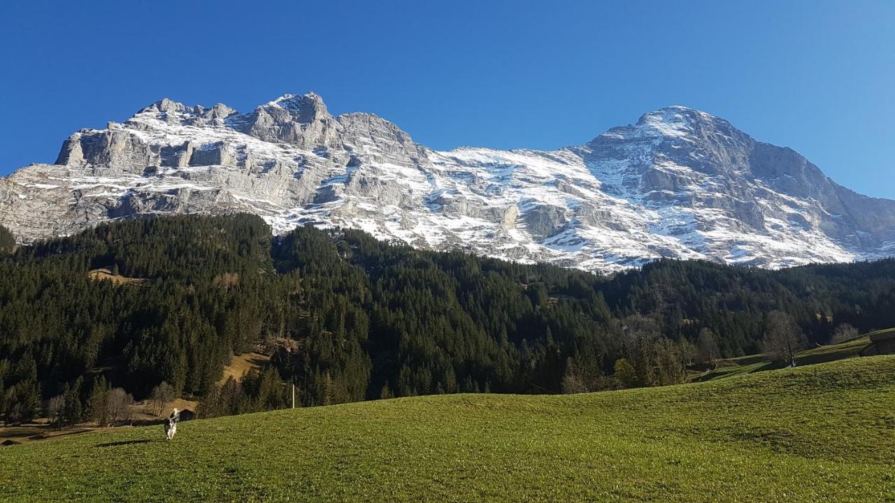Chalet Bei Der Arve グリンデルヴァルト エクステリア 写真