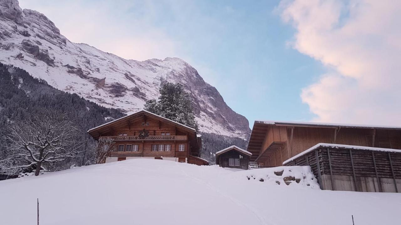 Chalet Bei Der Arve グリンデルヴァルト エクステリア 写真