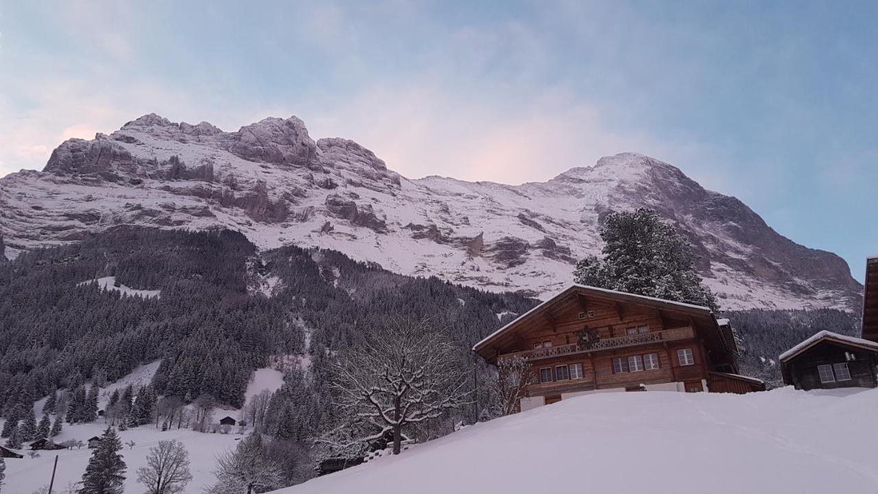 Chalet Bei Der Arve グリンデルヴァルト エクステリア 写真